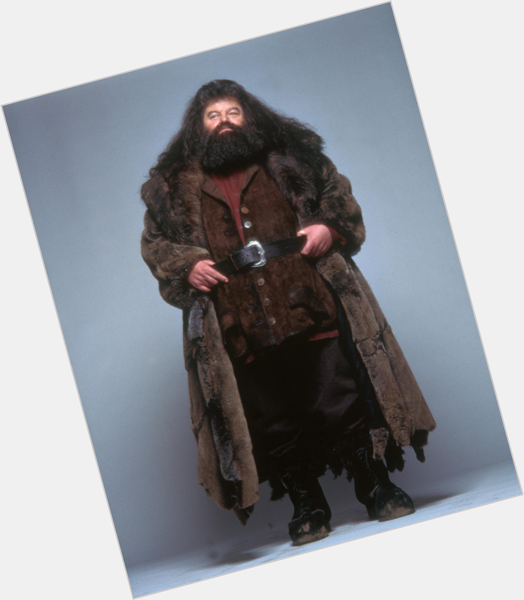 Rubeus Hagrid Large body,  black hair & hairstyles