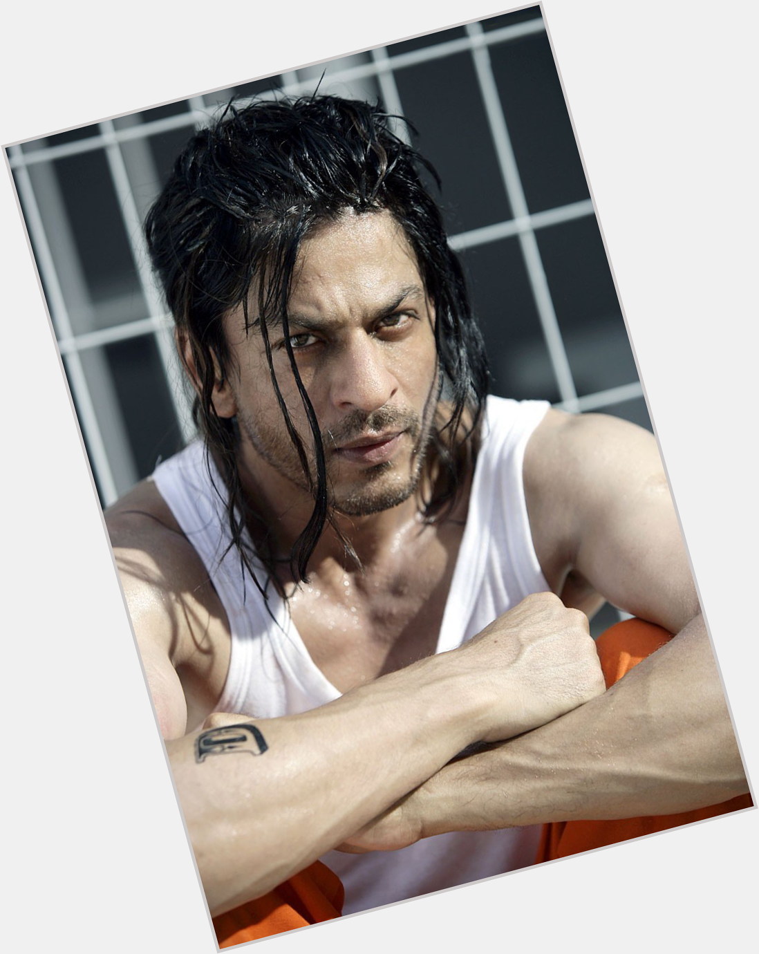 Https://fanpagepress.net/m/S/Shahrukh Khan Full Body 3