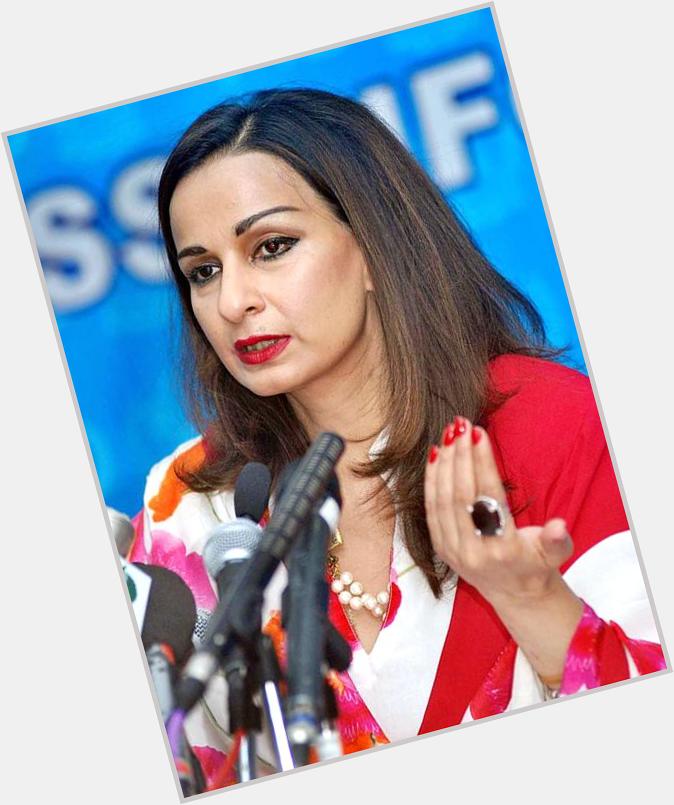 Sherry Rehman full body 7