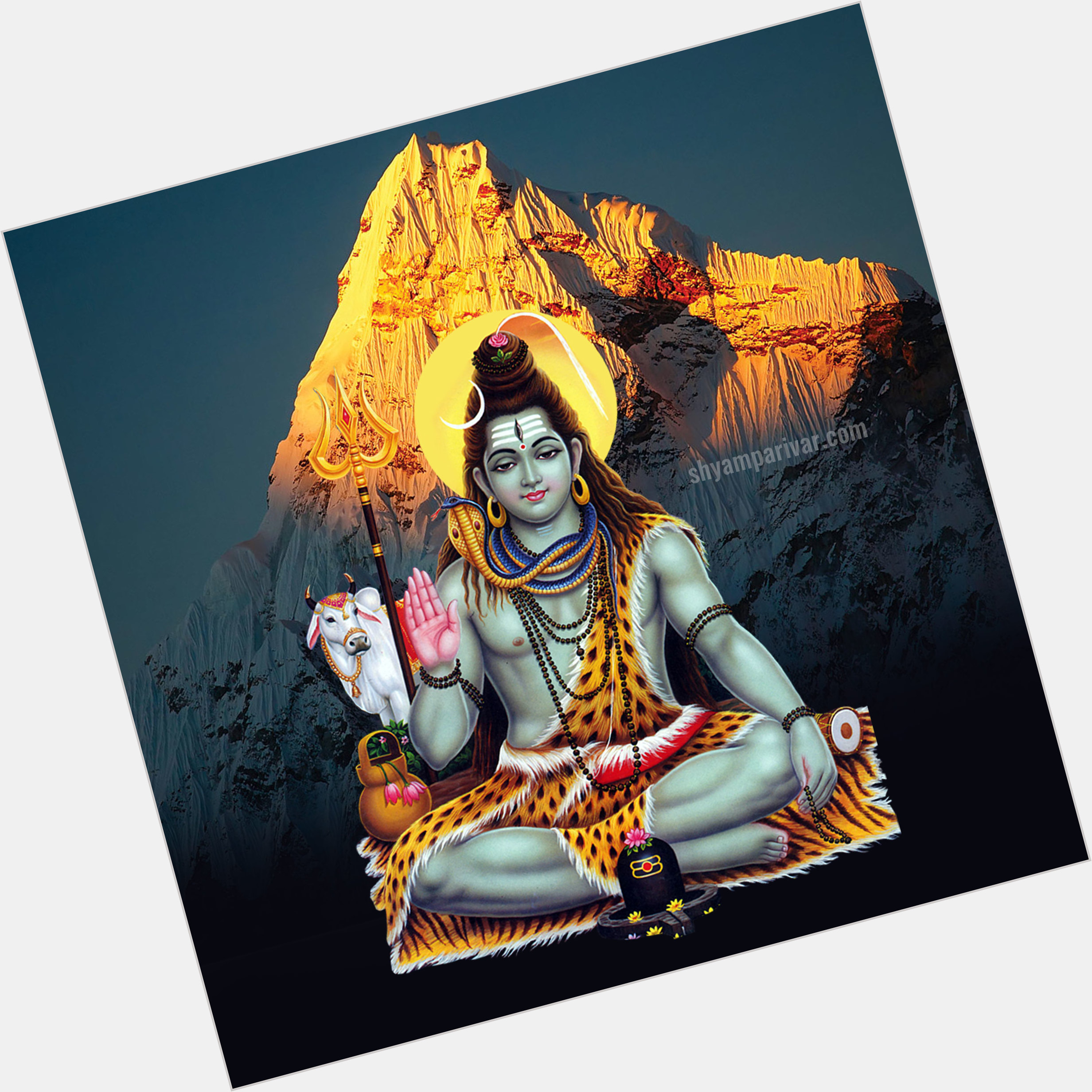 Shiva Shankar birthday 2015
