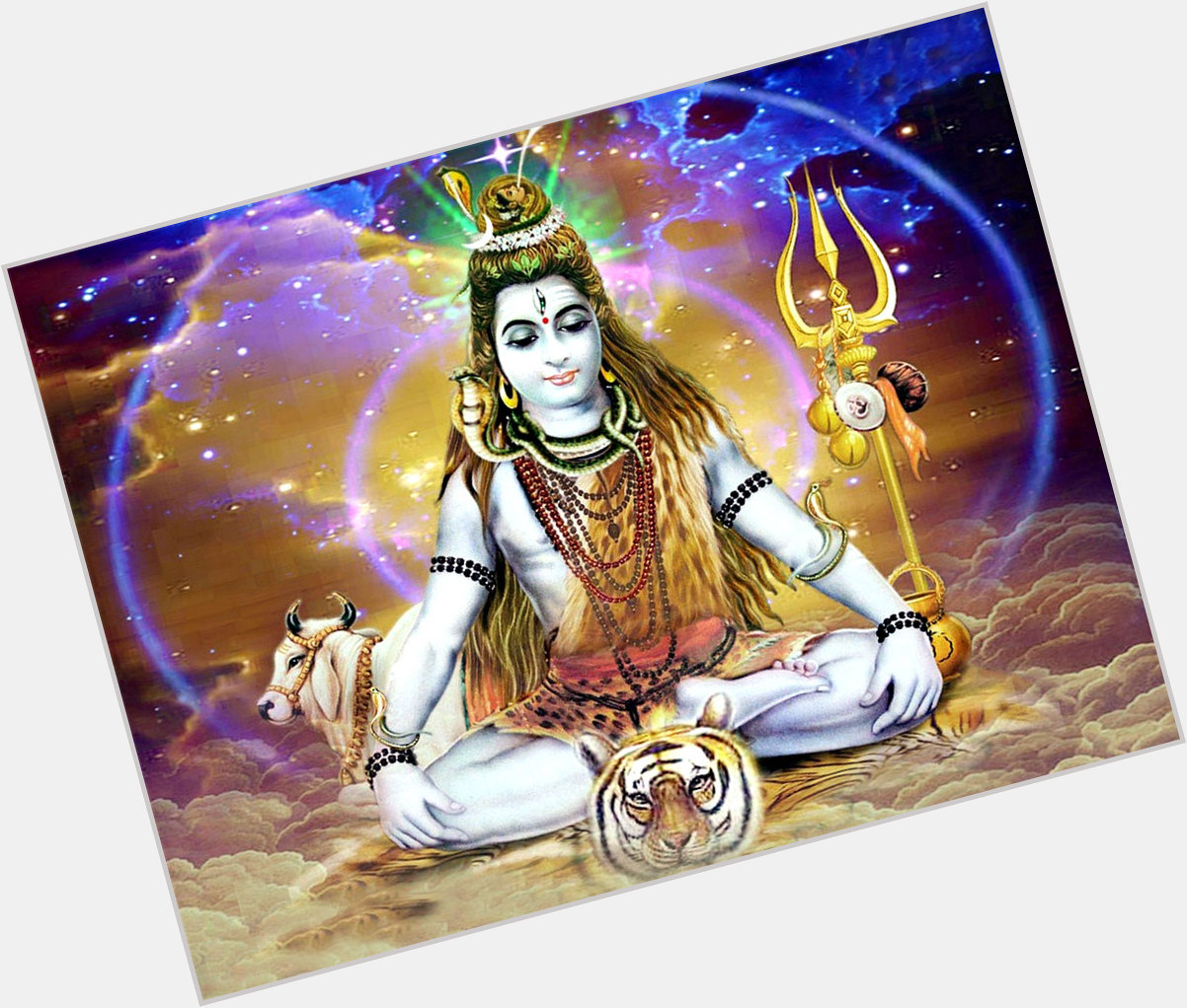 Shiva Shankar picture 1