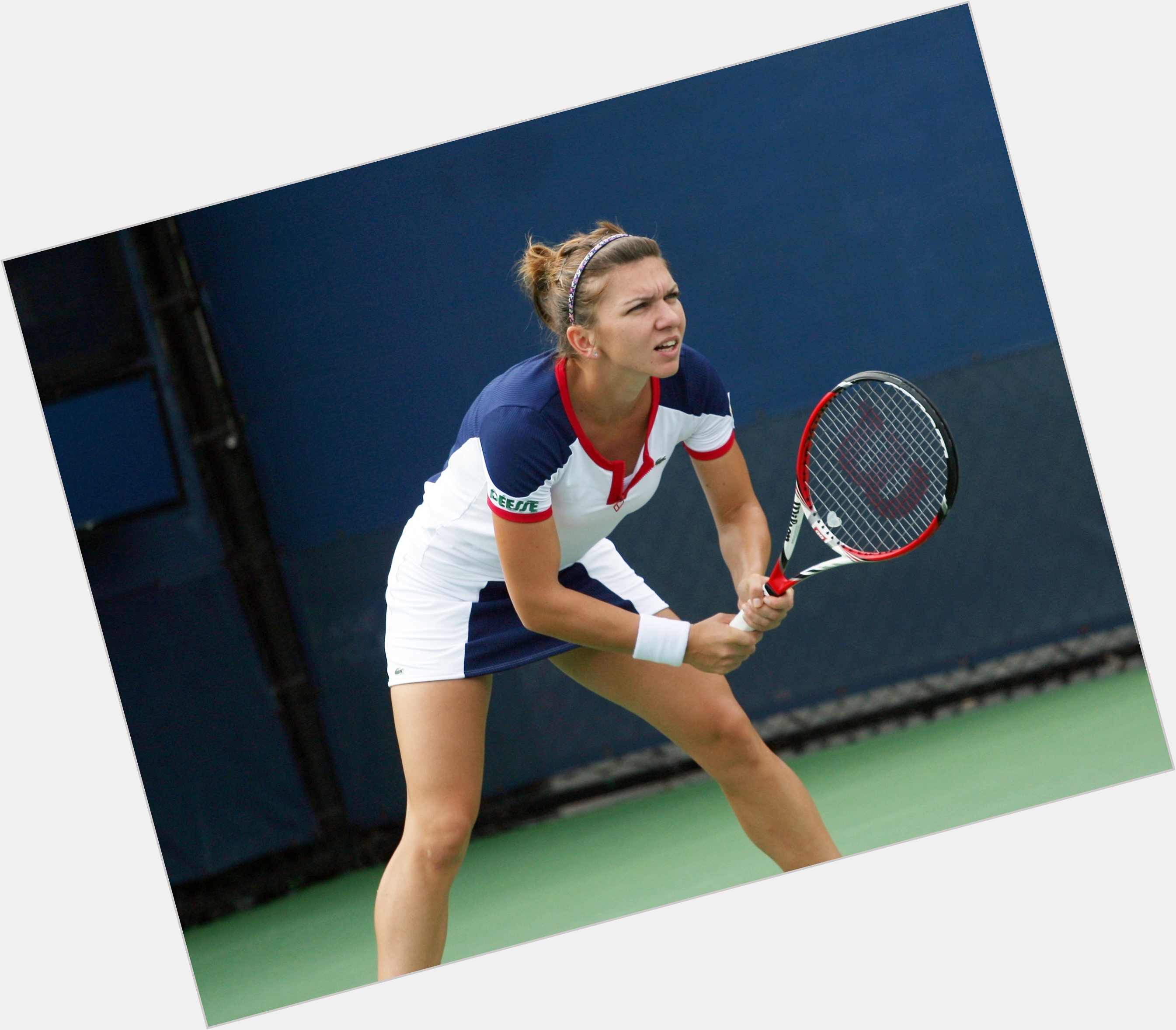 Simona Halep picture 1