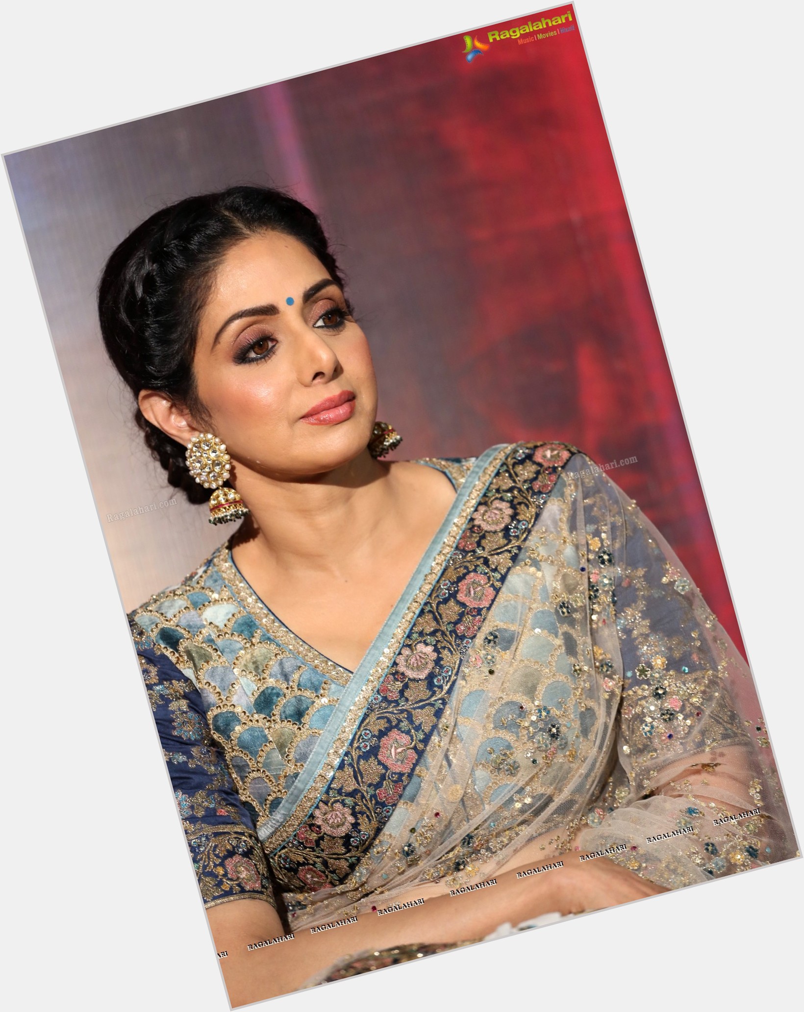 Sridevi Kapoor exclusive hot pic 6