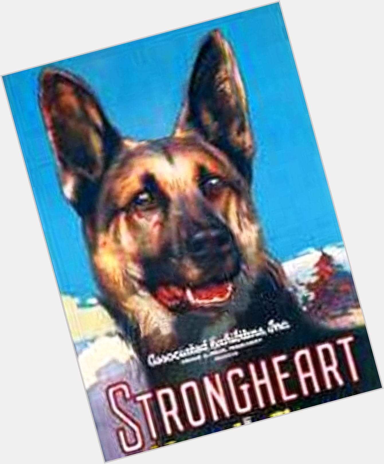 Strongheart The Dog  