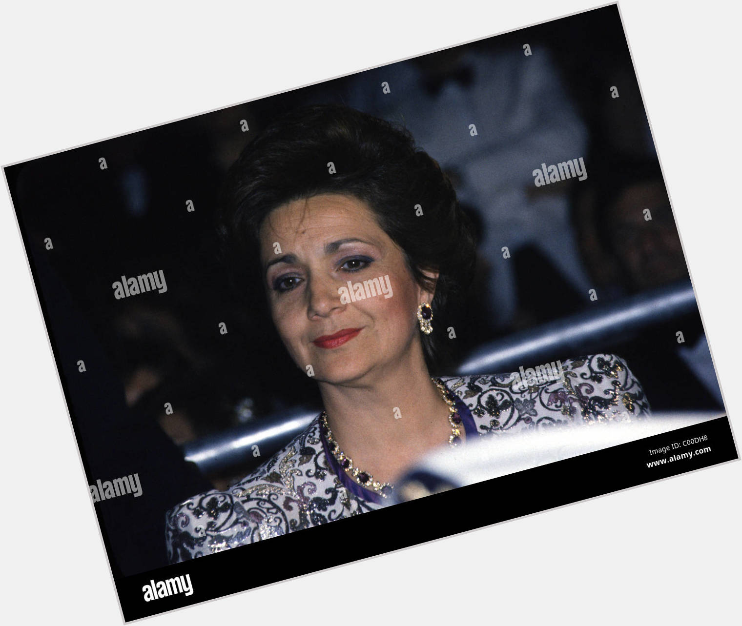 Suzanne Mubarak full body 7