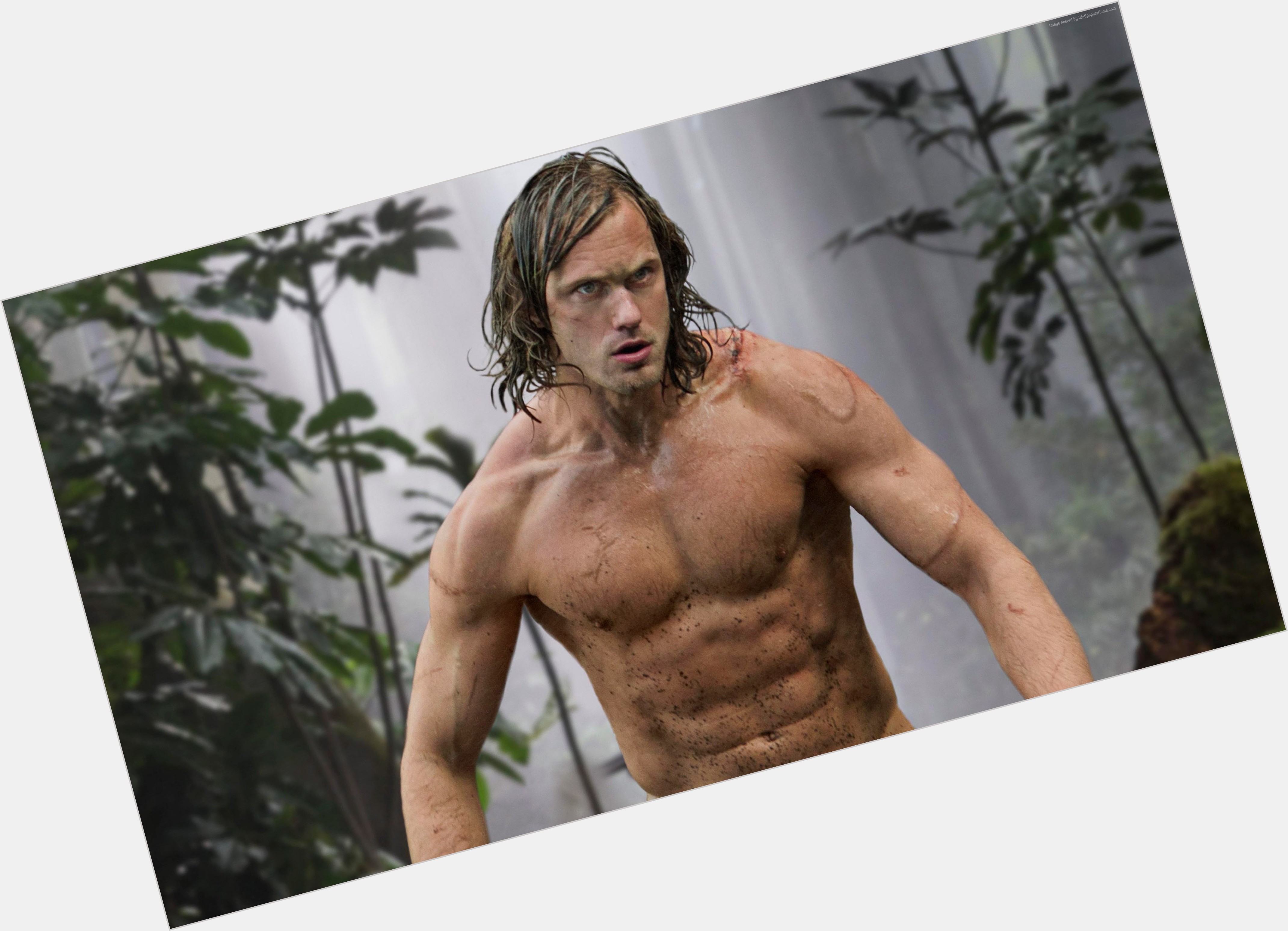 Tarzan sexy 5.jpg