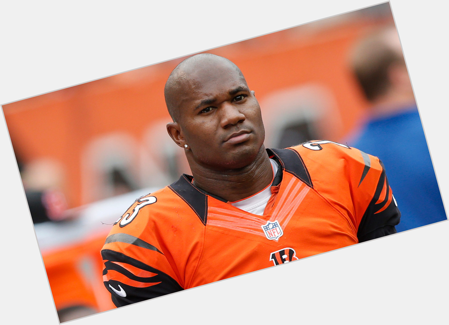 Terence Newman picture 1