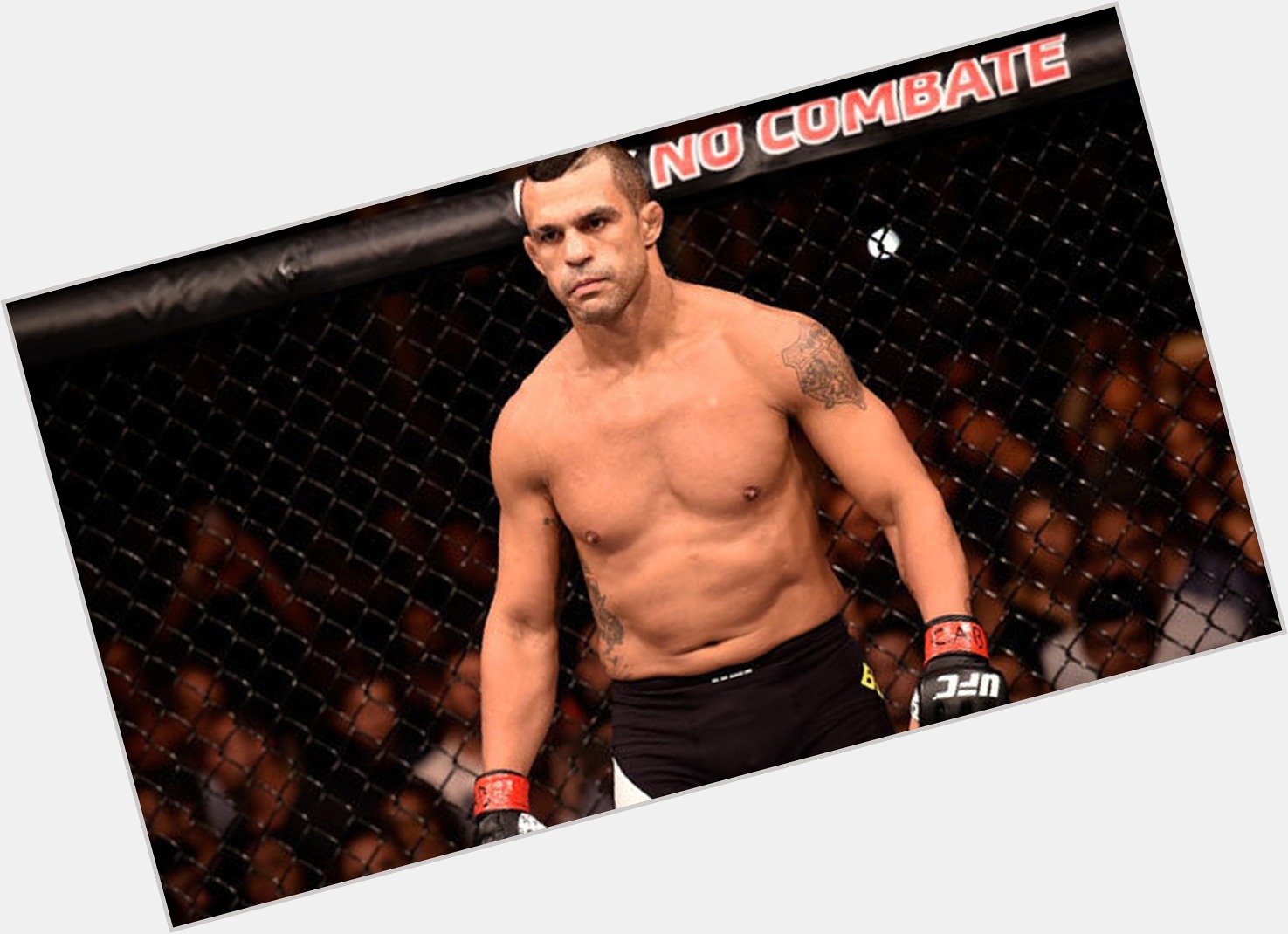 Vitor Belfort picture 1