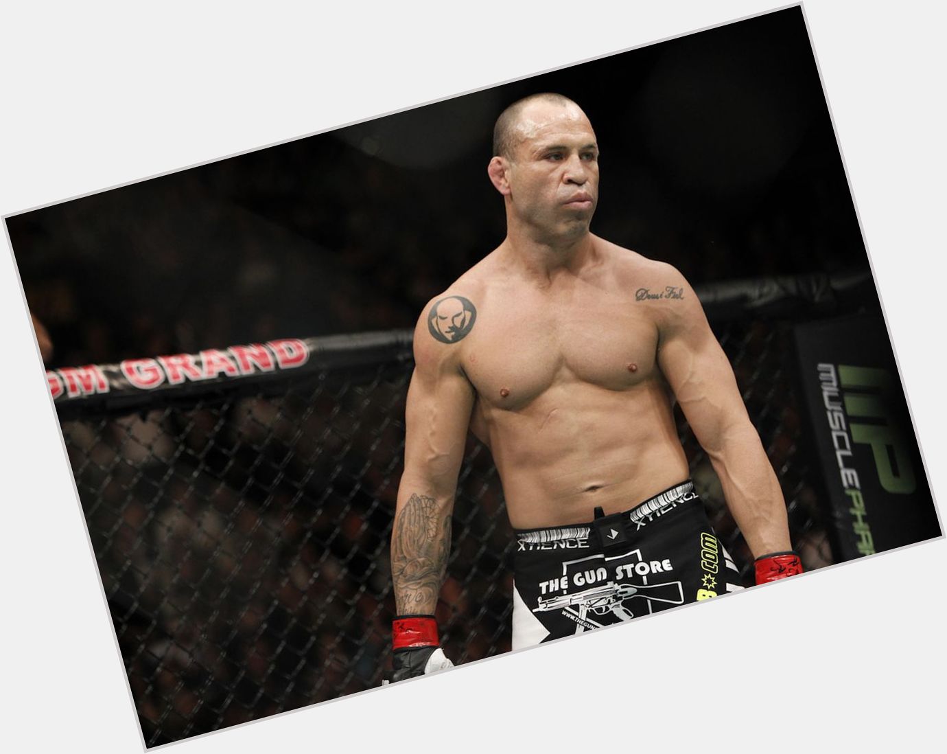 Wanderlei Silva new pic 1