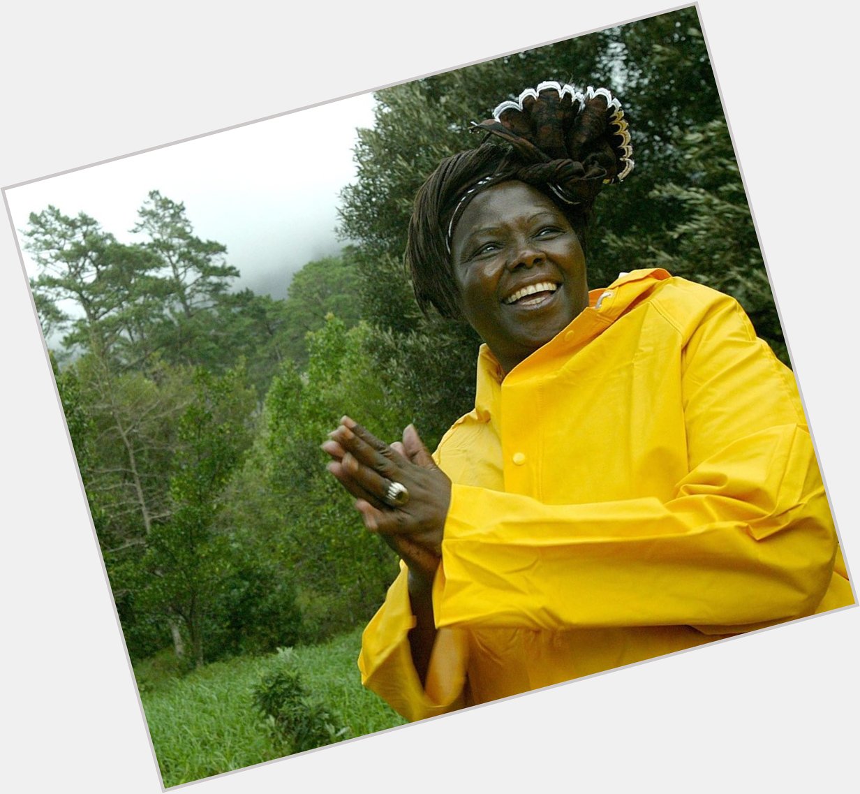 Wangari Maaathai new pic 1