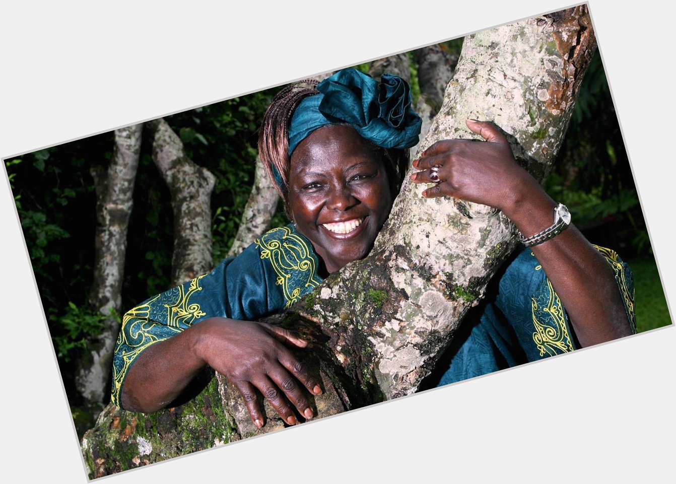Wangari Muta Maathai birthday 2015